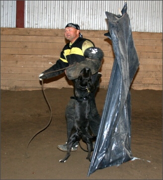 Training in Estonia 11/2007